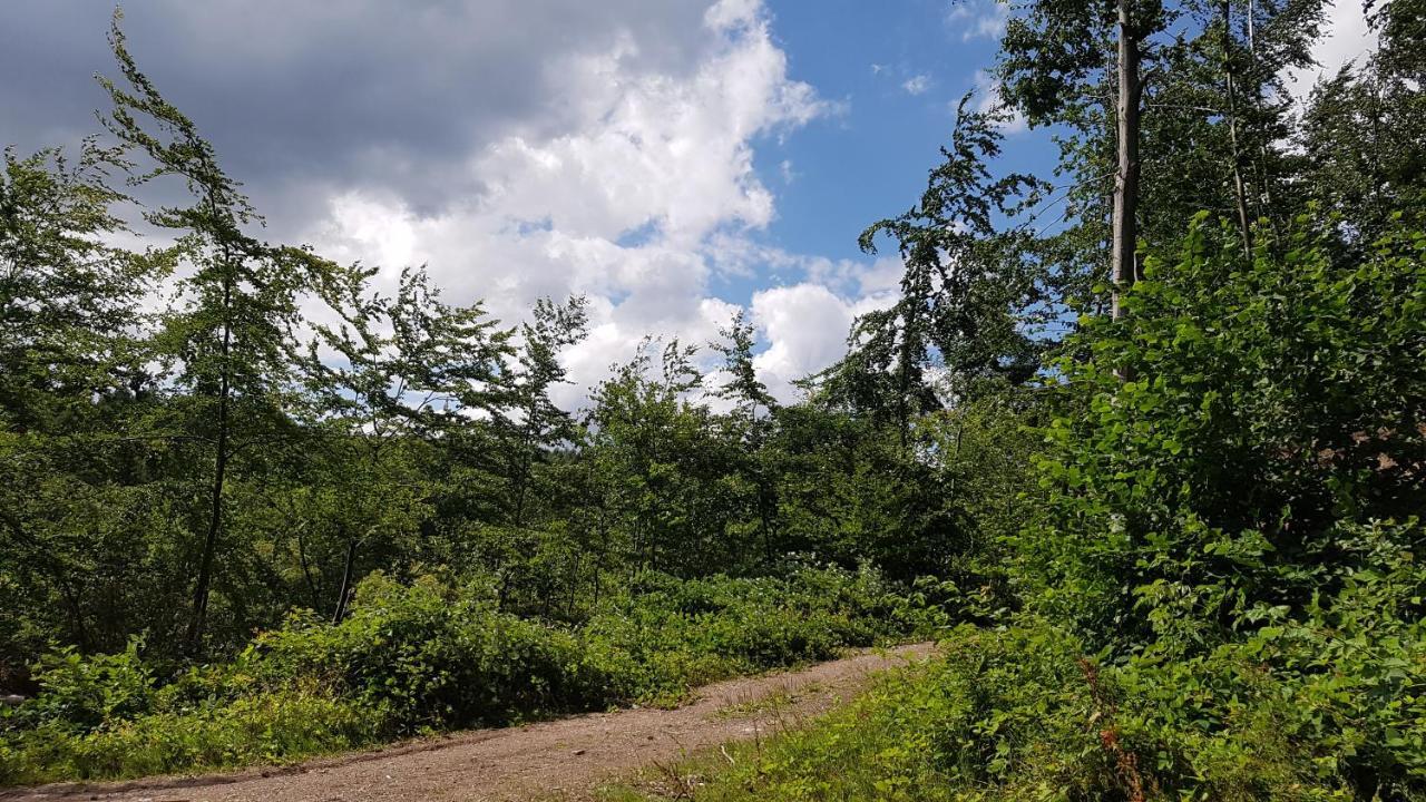 Schoener Weitblick Bad Sachsa Εξωτερικό φωτογραφία